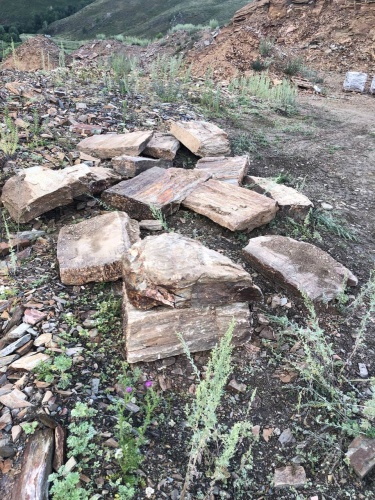 Плитняк кора дерева 50-100мм для пошаговых дорожек купить в Первоуральске